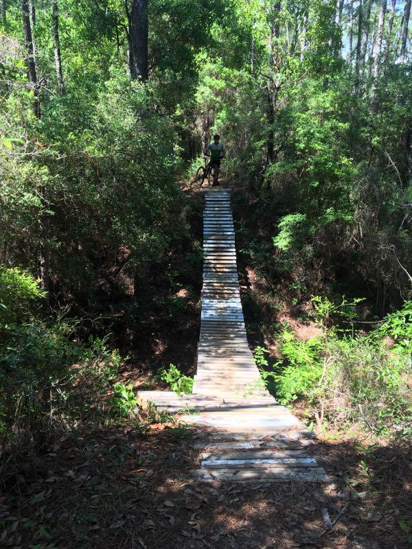A wooden bike ramp extends over a small incline, surrounded by dense green foliage and trees. A cyclist stands at the top of the ramp, preparing to ride down the path. The scene captures a moment in a natural forested setting, with sunlight filtering through the leaves. UWF Mountain Bike Trails mountain bike trail.