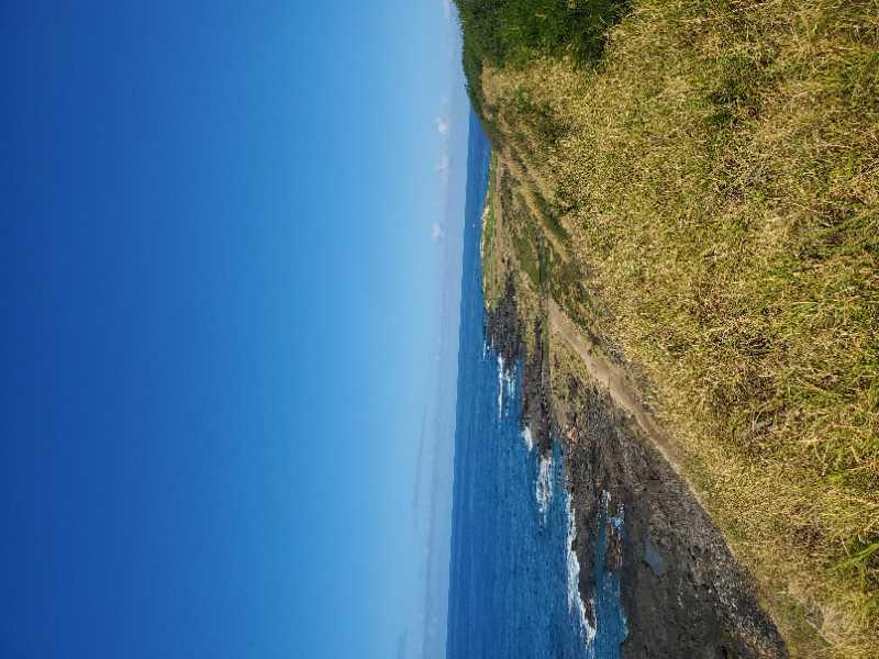 A panoramic view of a coastal landscape featuring a clear blue sky and the ocean. The foreground shows green grassy areas and rocky outcrops, leading down to the water, with gentle waves lapping at the shore. Kaena Point mountain bike trail.