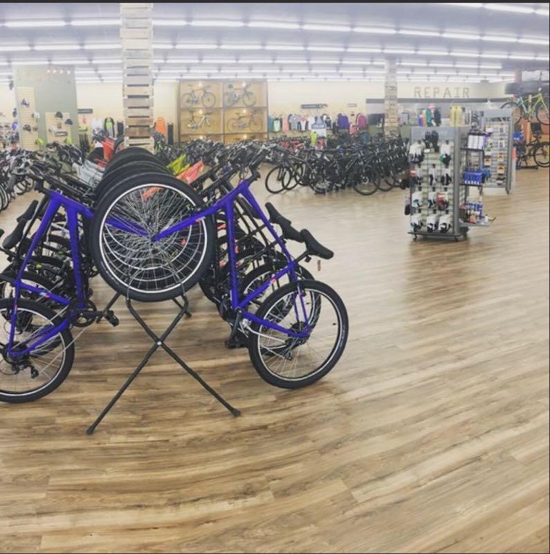 A spacious bicycle shop featuring a variety of bikes displayed prominently. In the foreground, several purple bicycles are strategically arranged upside down on a rack, showcasing their wheels. The background includes more bicycles hanging and displayed on racks, as well as accessories and gear on shelves. The flooring is wooden, creating a warm atmosphere, with bright lighting illuminating the entire space.