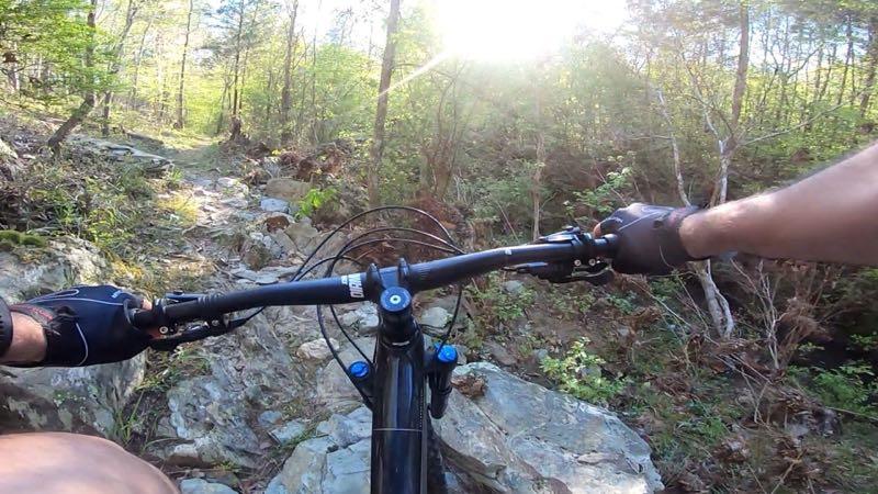 Alt tag: "Close-up view of a mountain bike's handlebars navigating a rocky trail in a forested area, with sunlight filtering through the trees." Wine Creek mountain bike trail.