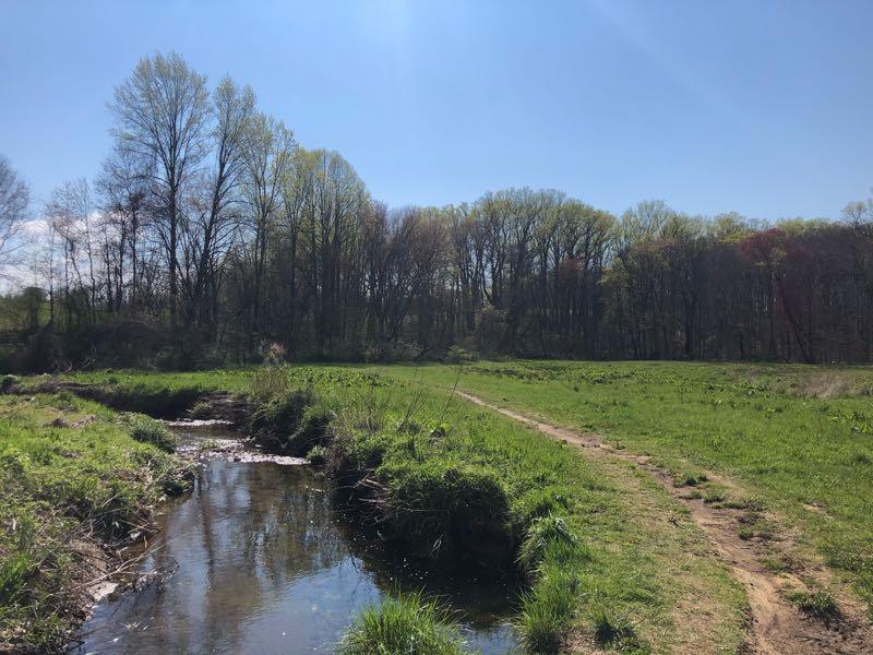 A peaceful landscape featuring a gentle stream flowing through a grassy area, surrounded by trees in various stages of foliage. The scene is illuminated by bright sunlight under a clear blue sky, creating a serene outdoor atmosphere. A dirt path winds through the meadow, inviting exploration. Brandywine State Park mountain bike trail.