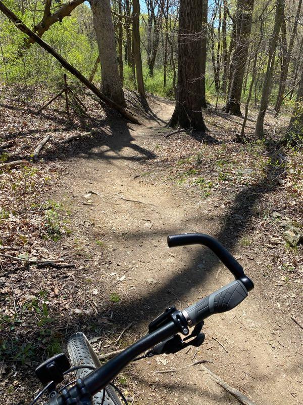 A view of a dirt bike trail through a wooded area, with a focus on the handlebars of a mountain bike in the foreground. The trail winds ahead, surrounded by green foliage and tall trees, under a clear blue sky. Middle Run Natural Area mountain bike trail.