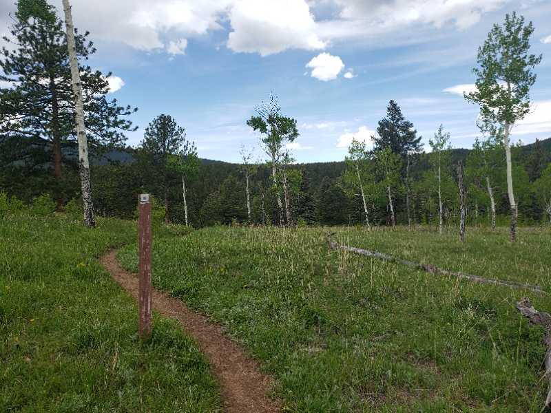 A winding dirt trail leads through a lush green landscape featuring scattered trees and open grassy areas, under a partly cloudy sky with blue patches. A wooden trail marker is visible beside the path, indicating the trail number. The scene is set in a mountainous region, with hills and forests in the background. Golden Gate Canyon State Park mountain bike trail.