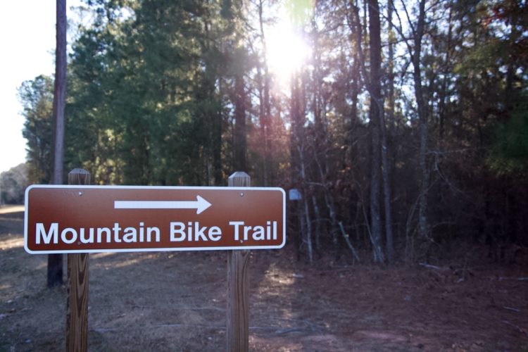 Brown sign indicating "Mountain Bike Trail" with an arrow pointing to the right, set against a backdrop of tall trees and sunlight filtering through the forest.