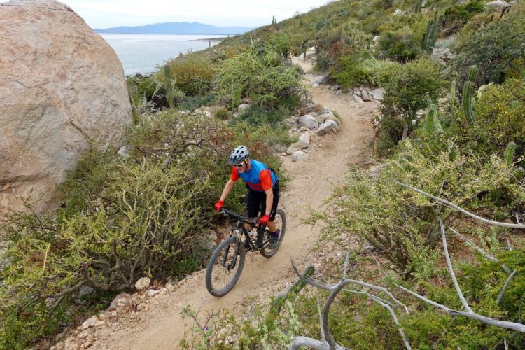A person riding a mountain bike along a dirt trail surrounded by lush vegetation and rock formations, with a scenic view of water and distant mountains in the background. The cyclist is wearing a helmet, sunglasses, and a colorful jersey, focusing on navigating the trail.