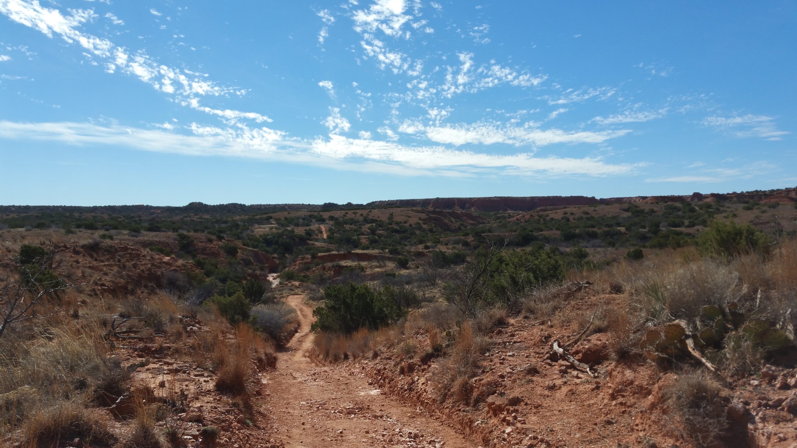 A dirt trail winding through a rugged, arid landscape with scattered shrubs and rocky terrain under a clear blue sky with wispy clouds. Canyon Rim Trail mountain bike trail.