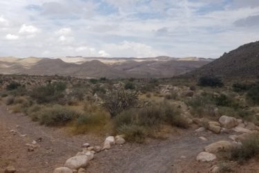 A rocky dirt path diverges in a desert landscape surrounded by sparse vegetation and shrubs, with rolling hills visible in the background under a partly cloudy sky. Cottonwood Valley North mountain bike trail.