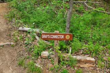 A wooden trail sign labeled "Gray's Connector" sits along a dirt path in a lush green forest, surrounded by greenery and fallen branches. Quantico West mountain bike trail.
