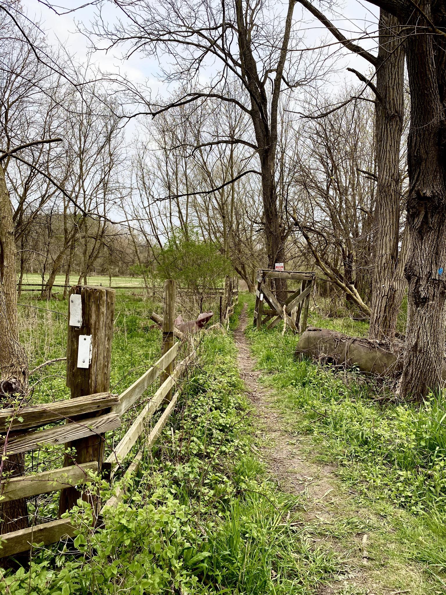 A narrow dirt path winds through a wooded area, bordered by a wooden fence and patches of green grass and weeds. Leafless trees rise on either side of the path, with a clear sky visible in the background. A gate is partially visible at the end of the path. Union station back woods mountain bike trail.