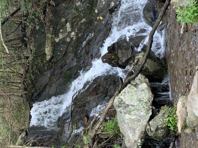 A flowing stream cascading over rocks, surrounded by lush greenery and trees. The water creates a gentle frothy white appearance as it moves over the dark stone surface. Branches and small plants are visible along the riverbank, enhancing the natural setting. Bear Creek mountain bike trail.
