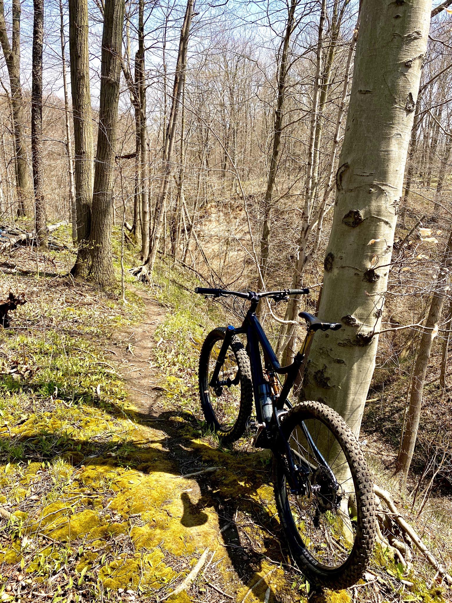 A mountain bike leaning against a tree on a narrow trail surrounded by bare trees and mossy ground, with a clear blue sky in the background. Swance Drain mountain bike trail.