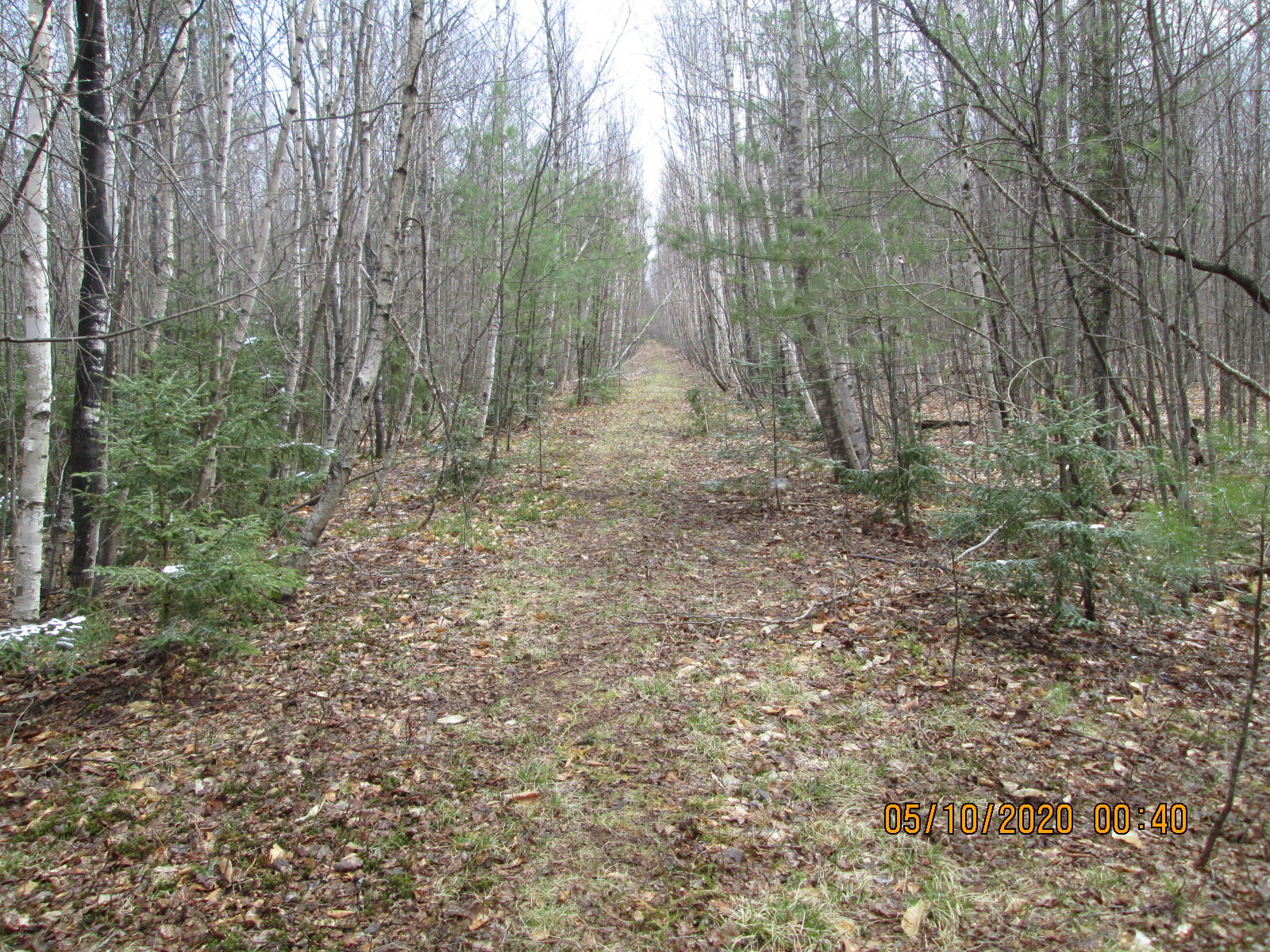 A narrow dirt path lined with small evergreen trees and bare, leafless deciduous trees on either side, leading into a wooded area. The ground is covered with fallen leaves and patches of grass, suggesting a cool, damp atmosphere. The image appears cloudy or overcast, enhancing the serene yet subdued ambiance of the forest setting. The date is displayed in the lower right corner: 05/10/2020, 00:40. Terahee Truck Trail mountain bike trail.