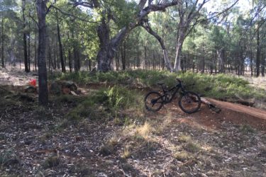 A black mountain bike rests on a dirt path in a sunlit forest clearing, surrounded by trees and shrubs. In the background, a small red bucket sits on a pile of rocks, adding a touch of color to the natural landscape. The scene conveys a sense of adventure and tranquility in a wooded area. Geurie Goat Track mountain bike trail.