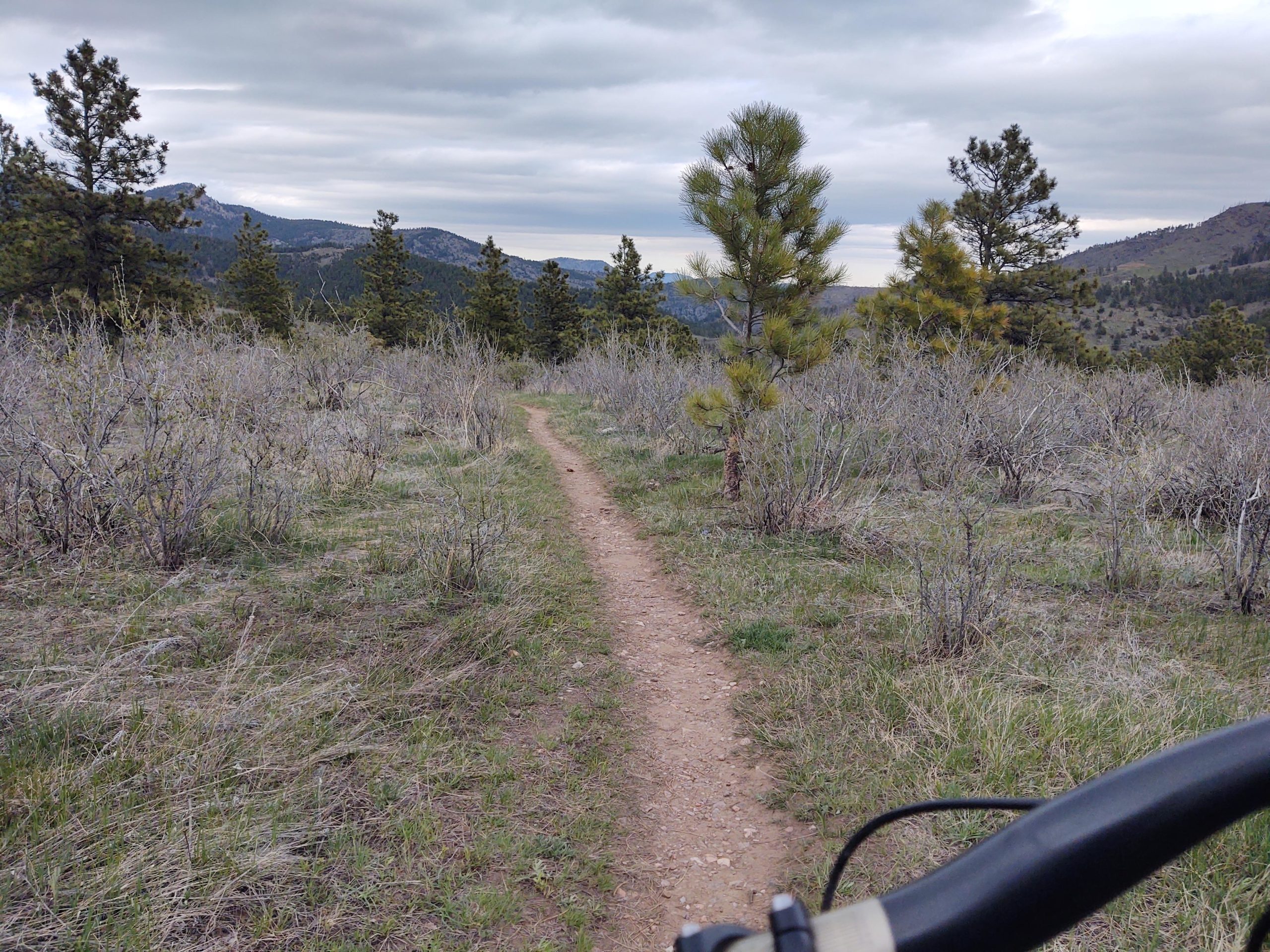A narrow dirt pathway winding through a landscape of sparse grass and shrubs, with tall evergreen trees on either side. In the background, rolling hills and a cloudy sky are visible, suggesting a tranquil outdoor setting. The view is taken from the perspective of a cyclist, with the handlebars of a bike partially visible in the foreground. Pinewood Reservoir mountain bike trail.