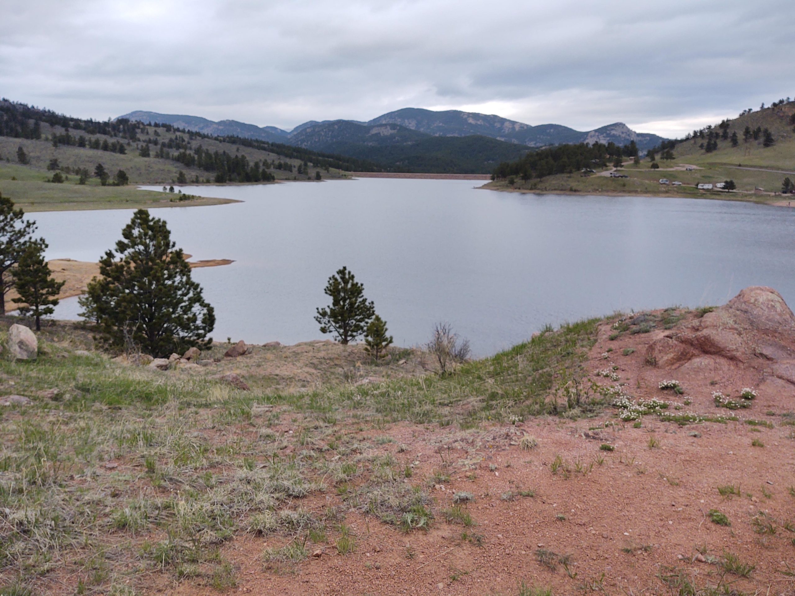 A serene landscape showcasing a calm lake surrounded by rolling hills and mountains under a cloudy sky. The foreground features grassy areas with patches of small flowers and rocky terrain, while sparse trees dot the shoreline of the lake. The scene conveys a peaceful and natural environment. Pinewood Reservoir mountain bike trail.
