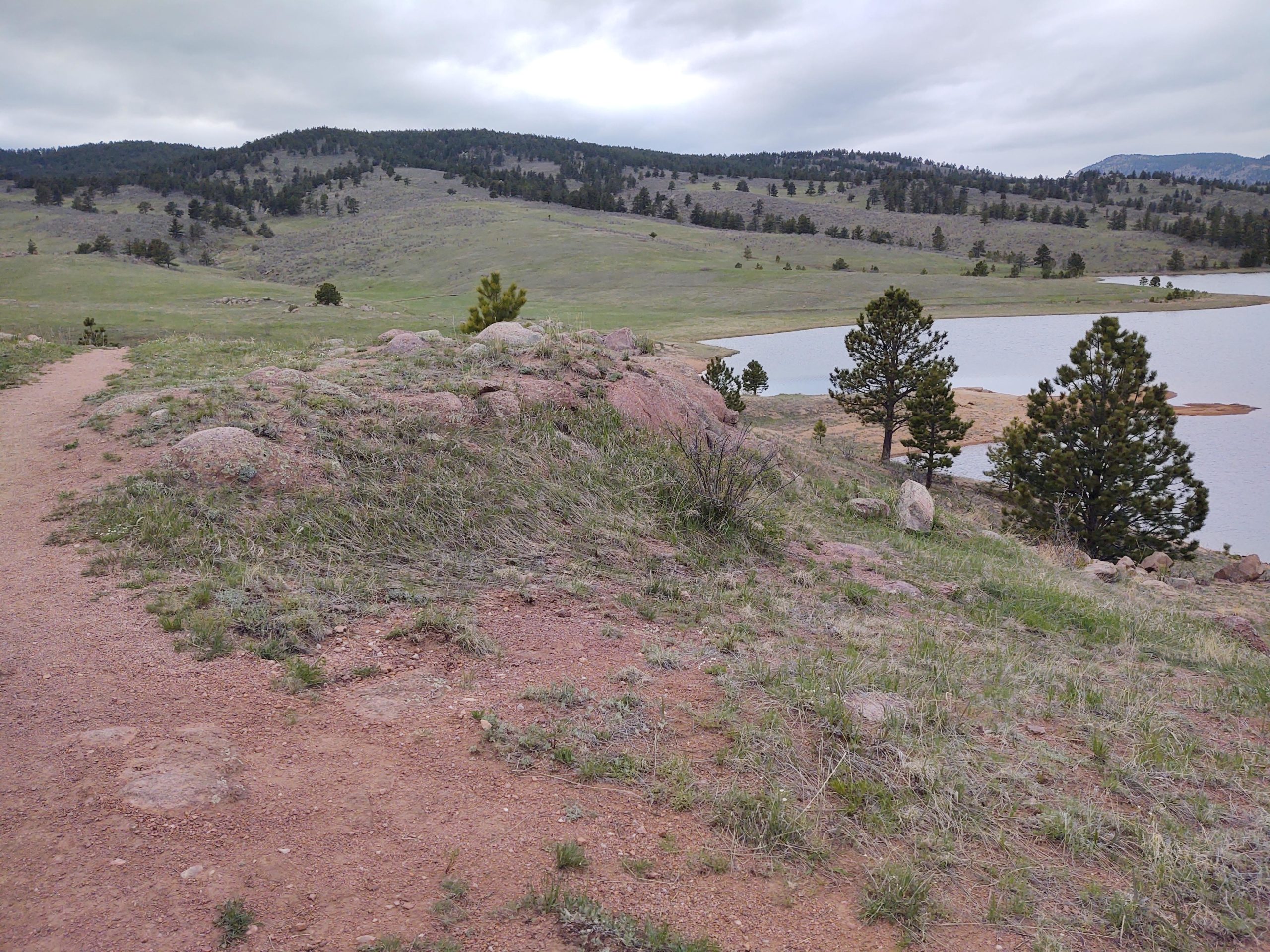 A scenic landscape featuring a gravel path winding through grassy terrain with scattered rocks and small trees. In the distance, a serene lake reflects the cloudy sky, surrounded by rolling hills and additional trees. The atmosphere suggests a peaceful natural setting suitable for hiking or outdoor activities. Pinewood Reservoir mountain bike trail.