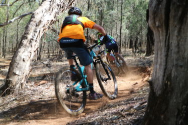Two mountain bikers riding on a dirt trail through a forest. One rider is wearing an orange shirt and the other is in a vibrant blue and green outfit. The scene captures the motion of the cyclists as dust is kicked up from the ground, surrounded by trees and natural foliage. Geurie Goat Track mountain bike trail.