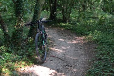 A mountain bike resting against a tree along a dirt path in a lush green forest, surrounded by dense foliage and sunlight filtering through the leaves. Hidenbourg line mountain bike trail.