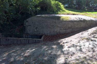 A concrete structure resembling a bunker or underground facility, partially covered with moss, sits in a shaded area surrounded by trees. Nearby, there is a wooden perimeter wall and fallen leaves on the ground, indicating the setting is outdoors in a natural environment. Hidenbourg line mountain bike trail.