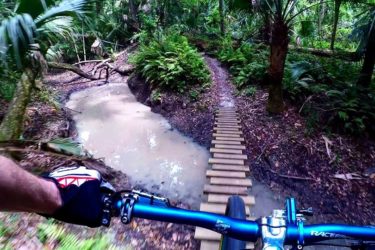 A mountain biker's perspective while navigating a trail in a dense, green forest. The view includes a wooden plank bridge over a muddy area, surrounded by lush ferns and tropical plants. The biker's hand is visible on the handlebar, indicating they are actively riding the trail. Chuck Lennon Park mountain bike trail.