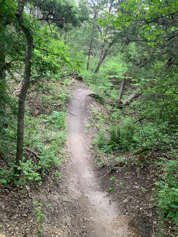 A narrow dirt trail winding through a lush green forest, surrounded by trees and foliage. The path is slightly sandy and shows signs of use, with small rocks and plants along the edges. Boulder Park mountain bike trail.