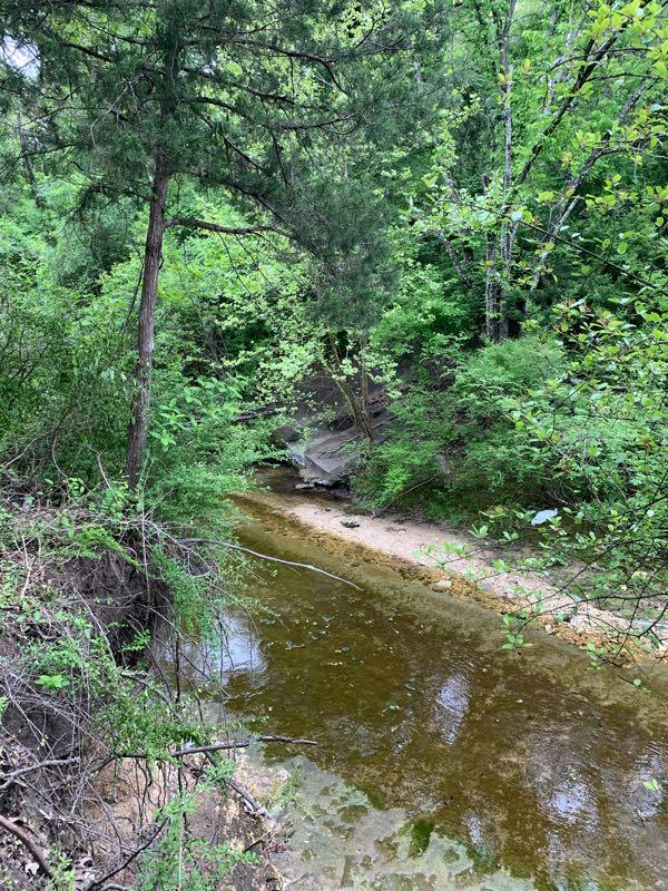 A serene view of a narrow creek winding through lush greenery, with trees and underbrush surrounding the water. The creek bed is visible, featuring a mix of sand and small stones, while a large rock is partially hidden by the foliage. Bright green leaves suggest a lush, vibrant landscape in a natural setting. Boulder Park mountain bike trail.