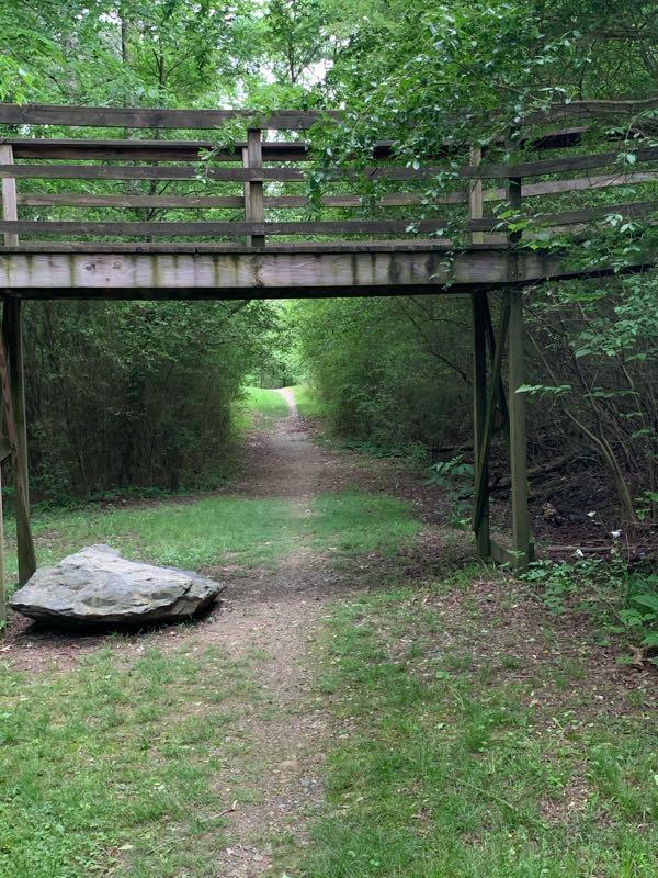 A wooden bridge supported by posts spans a narrow pathway, surrounded by dense greenery on both sides. A large rock rests on the grass near the trail, which leads into the bright, inviting distance. Cedar Glades Trail mountain bike trail.