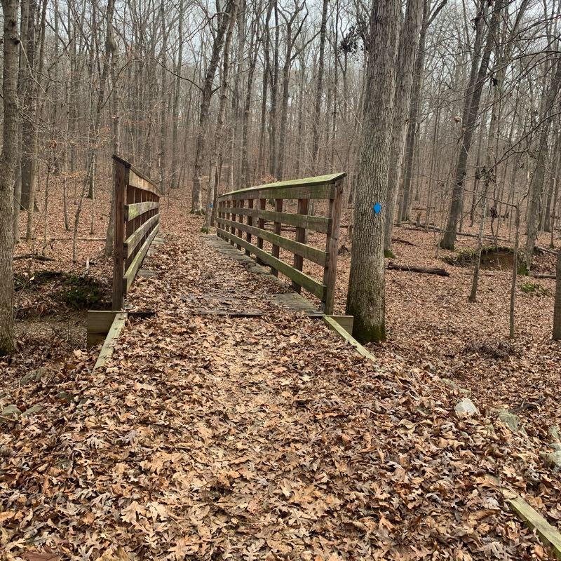 A wooden footbridge crosses a forested area covered in fallen leaves, surrounded by bare trees. The path leads onward through the woods, with a blue marker on a nearby tree. The scene captures a tranquil, natural setting in late fall or winter. Land Between the Lakes mountain bike trail.