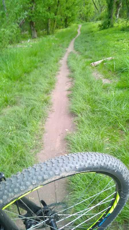 A close-up view of a bicycle tire on a dirt path surrounded by lush green grass and trees. The pathway winds through a natural outdoor setting, conveying a sense of adventure in nature. Valley Forge Park River Trail mountain bike trail.