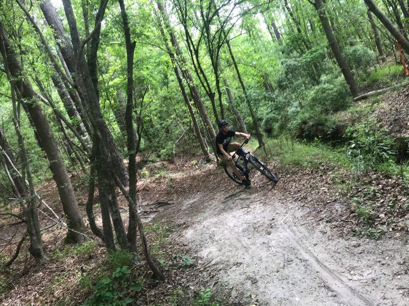 A person riding a mountain bike on a dirt trail surrounded by lush green trees and foliage. The cyclist is leaning into a turn, showcasing dynamic movement on the path. The Commons mountain bike trail.