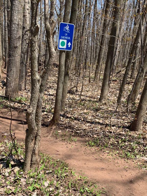 A biking trail sign reading "LA CHEVREUIL" with a bicycle icon and directional arrow, surrounded by trees in a forested area with fallen leaves and emerging greenery. Parc Valero Les Écarts mountain bike trail.