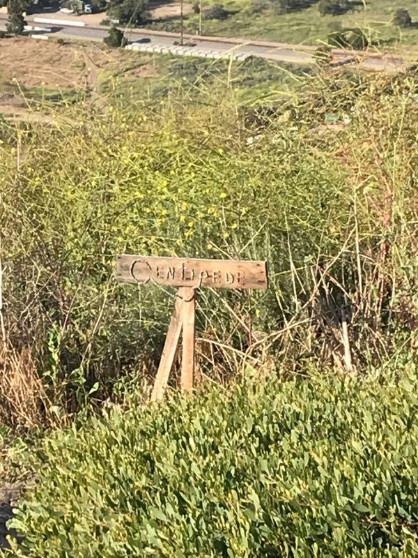 A wooden sign partially obscured by tall grass, reading "Cen Lede," set against a backdrop of a green landscape with a distant road. Centipede mountain bike trail.