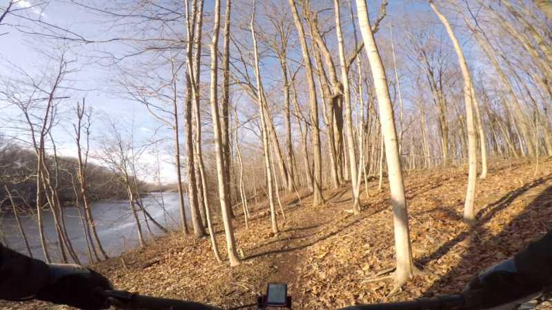 A view of a dirt bike trail surrounded by bare trees, with a river visible on the left side. The ground is covered in fallen leaves, and the sky is clear, suggesting a sunny day. A bike handlebar is partially visible in the foreground, indicating the perspective of a cyclist. Alum Creek Phase II mountain bike trail.
