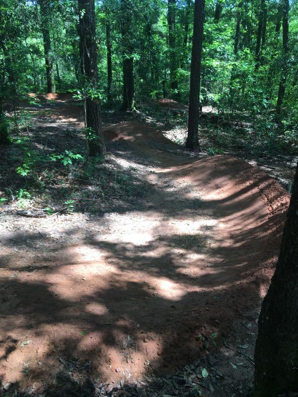 A winding dirt trail through a wooded area, with sunlight filtering through the trees, casting shadows on the ground. The trail is curved, indicating a bike or walking path, surrounded by lush green foliage and a natural forest environment. Beaver Creek / Forever Wild Trails mountain bike trail.