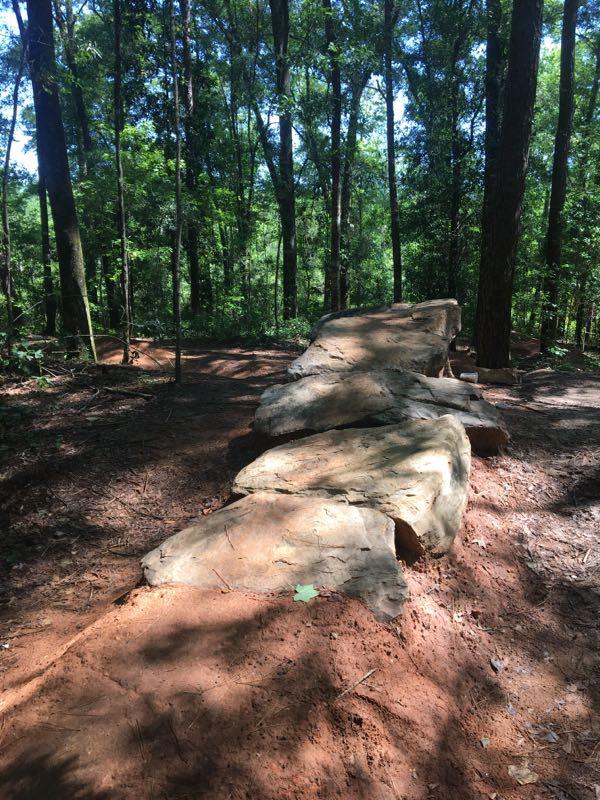 A large, flat rock formation extends along a dirt path in a lush, green forest. Tall trees surround the area, providing a shaded canopy, with dappled sunlight filtering through the leaves onto the ground. The path showcases a natural, earthy environment typical of a woodland area. Beaver Creek / Forever Wild Trails mountain bike trail.