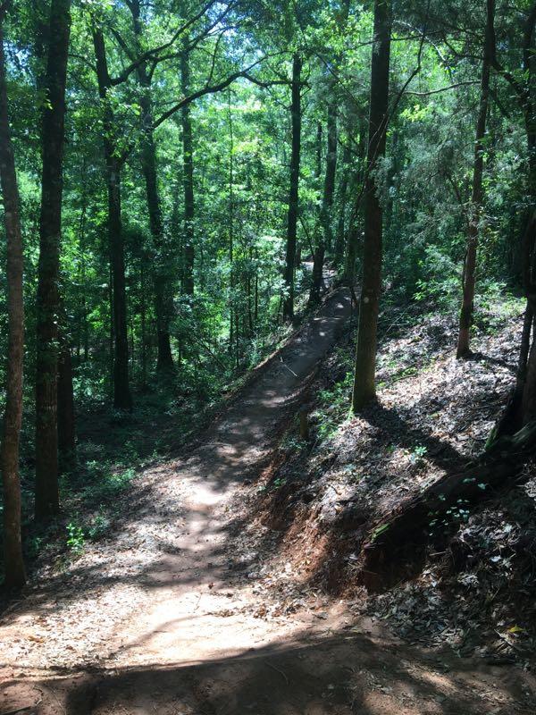 A narrow dirt trail meanders through a lush green forest, surrounded by tall trees and dappled sunlight filtering through the leaves. The path slopes gently downwards and is lined with patches of fallen leaves and underbrush. Beaver Creek / Forever Wild Trails mountain bike trail.