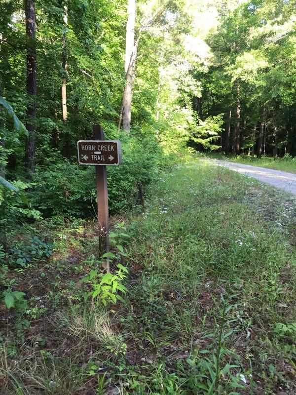 A sign for the Horn Creek Trail with directional arrows indicating the trail entrance, surrounded by lush greenery and trees on a sunny day. A gravel path is visible to the right of the sign. Lick Fork (Horn Creek) mountain bike trail.