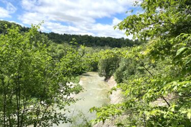 A scenic view of a river winding through a lush green landscape, framed by trees and under a partly cloudy blue sky. The vibrant foliage contrasts with the water and rocky riverbanks, creating a picturesque natural setting. Bayfield river mountain bike trail.