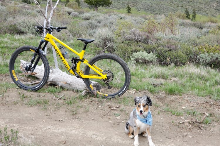 A mountain bike in vibrant yellow color is parked next to a log on a dirt path. A small dog with a blue bandana sits nearby, surrounded by green grass and shrubs, with a hilly landscape in the background.