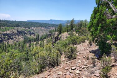 A scenic view of a mountainous landscape featuring a rocky path lined with shrubs and trees. The foreground includes patches of green vegetation and rocky terrain, while the background showcases rolling hills and a clear blue sky. Luna Lake Loop Trail #2 mountain bike trail.