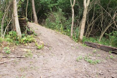 A dirt path leading into a dense wooded area, surrounded by trees and underbrush. The path is slightly elevated and shows signs of recent use, with patches of dry soil and some scattered twigs and small plants along the edges. Lake LaShane Trail mountain bike trail.