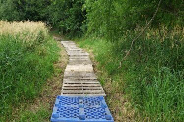 A wooden pathway made of slats running through a lush green area, bordered by tall grass and trees. A blue plastic crate is placed on the path, which leads to a dense area of vegetation in the distance. Lake LaShane Trail mountain bike trail.