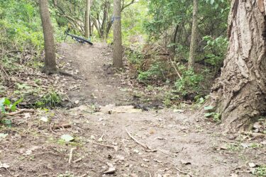 A dirt path winding through a wooded area, with a large tree on the right and a bicycle leaning against a nearby tree. The ground is covered with leaves and small plants, indicating natural foliage around the trail. Lake LaShane Trail mountain bike trail.