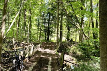 A peaceful forest path winding through lush greenery, with tall trees casting dappled sunlight on the dirt trail. A mountain bike leans against a wooden railing beside the path, which leads over a small stream. Lobb Trail mountain bike trail.