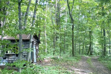 A narrow path meanders through a lush green forest, lined with tall trees and dense foliage. To the left, a small, rustic cabin with a shingled roof can be seen, partially obscured by trees and undergrowth. The sunlight filters through the leaves, casting a soft light on the scene, which conveys a serene and tranquil woodland atmosphere. Bayfield river mountain bike trail.