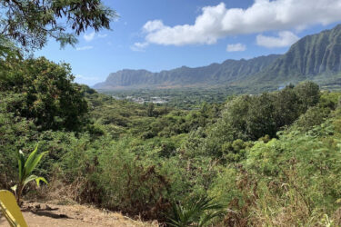 A scenic view of a lush green landscape with distant mountains under a partly cloudy blue sky. In the foreground, there is a yellow bench beside various plants, inviting a moment of reflection in nature. Ohana Trail mountain bike trail.