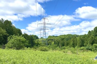 Power lines stretch across a vibrant green landscape under a clear blue sky, with patches of white clouds scattered above. The foreground features tall grasses and shrubs, while dense trees are visible in the background, showcasing a mix of nature and infrastructure. Bayfield river mountain bike trail.