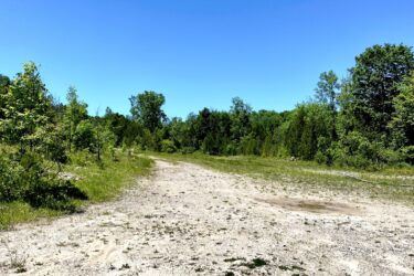 A dirt path surrounded by greenery under a clear blue sky, with sparse vegetation and gravel in the foreground. Bayfield river mountain bike trail.