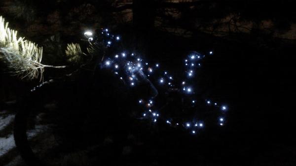 Trek Fuel EX 8 29: A dimly lit scene featuring a bicycle draped in twinkling white lights, surrounded by dark foliage and a nighttime atmosphere. The lights create a whimsical effect against the shadows, highlighting the bicycle's frame and surrounding branches.