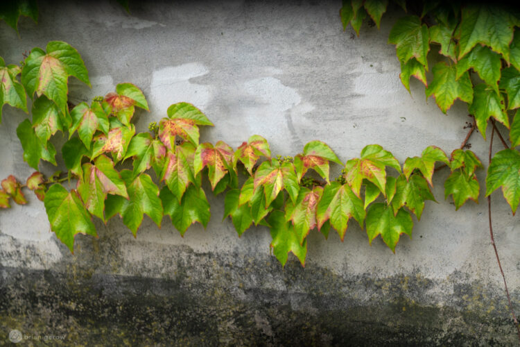 7 Mountain Bike Goggles Tested and Reviewed for 2020 - Singletracks